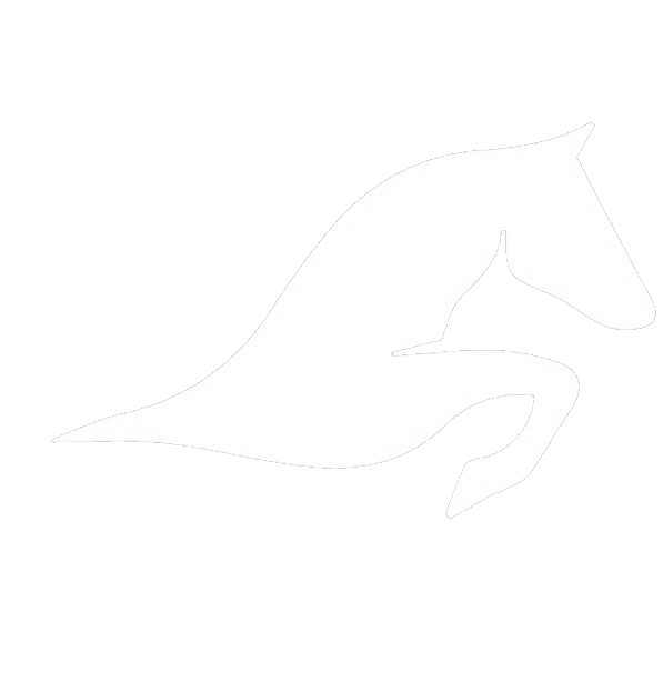 Money Stories Logo